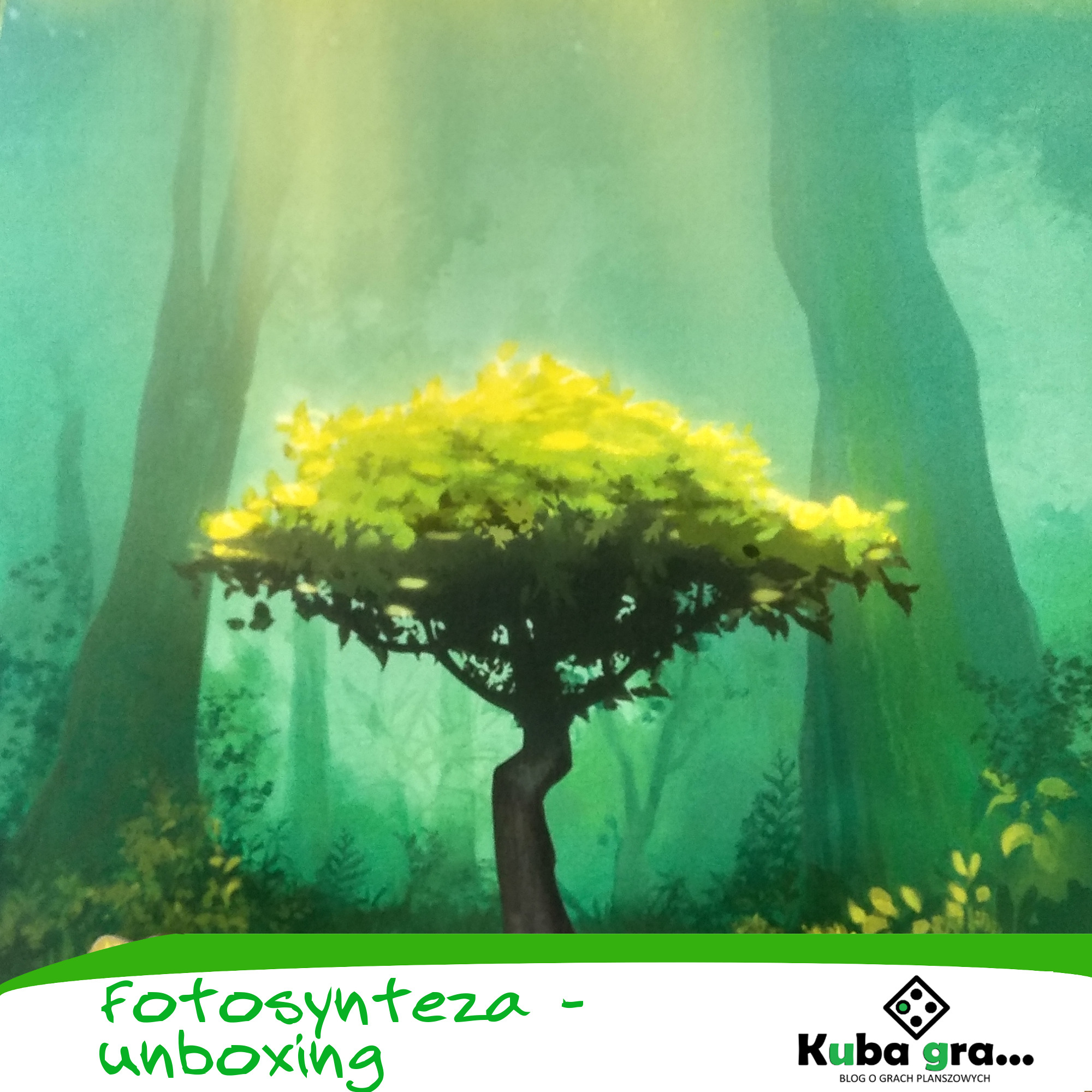 Fotosynteza