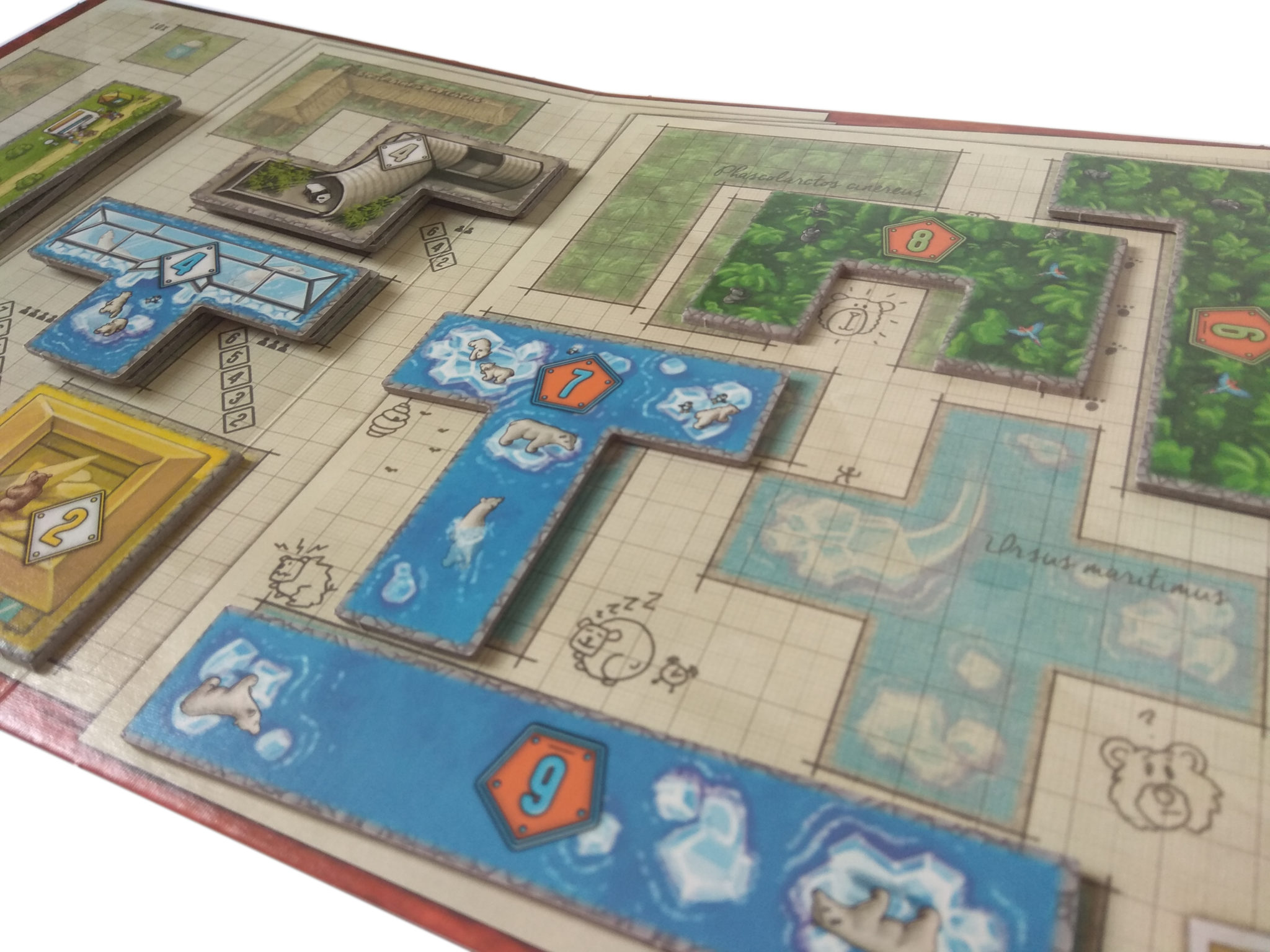 Park Niedźwiedzi gra planszowa