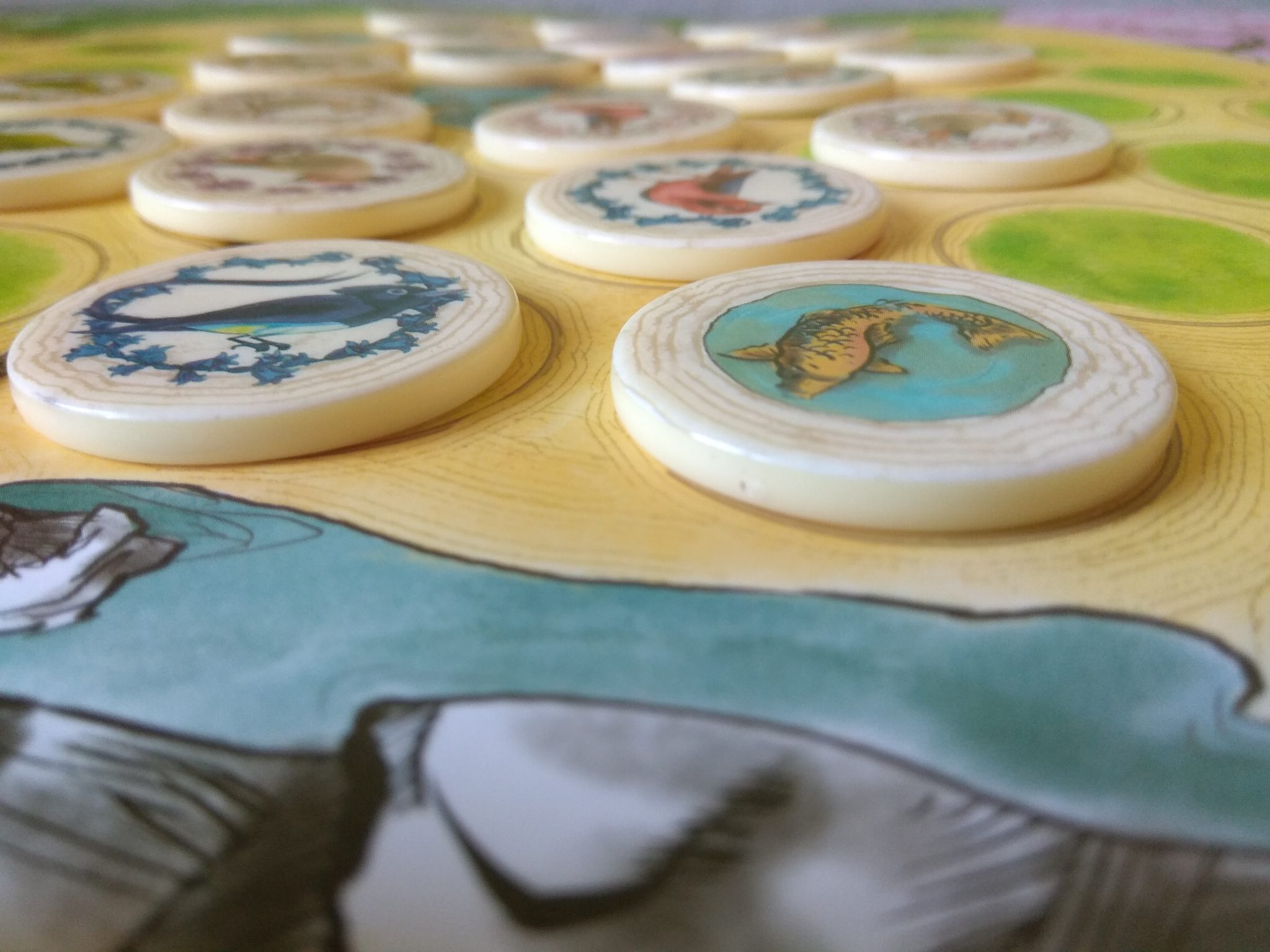 呕etony z gry Seikatsu