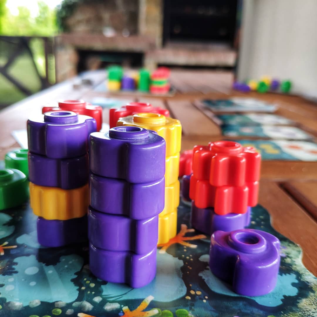 Rafy koralowe z gry Reef