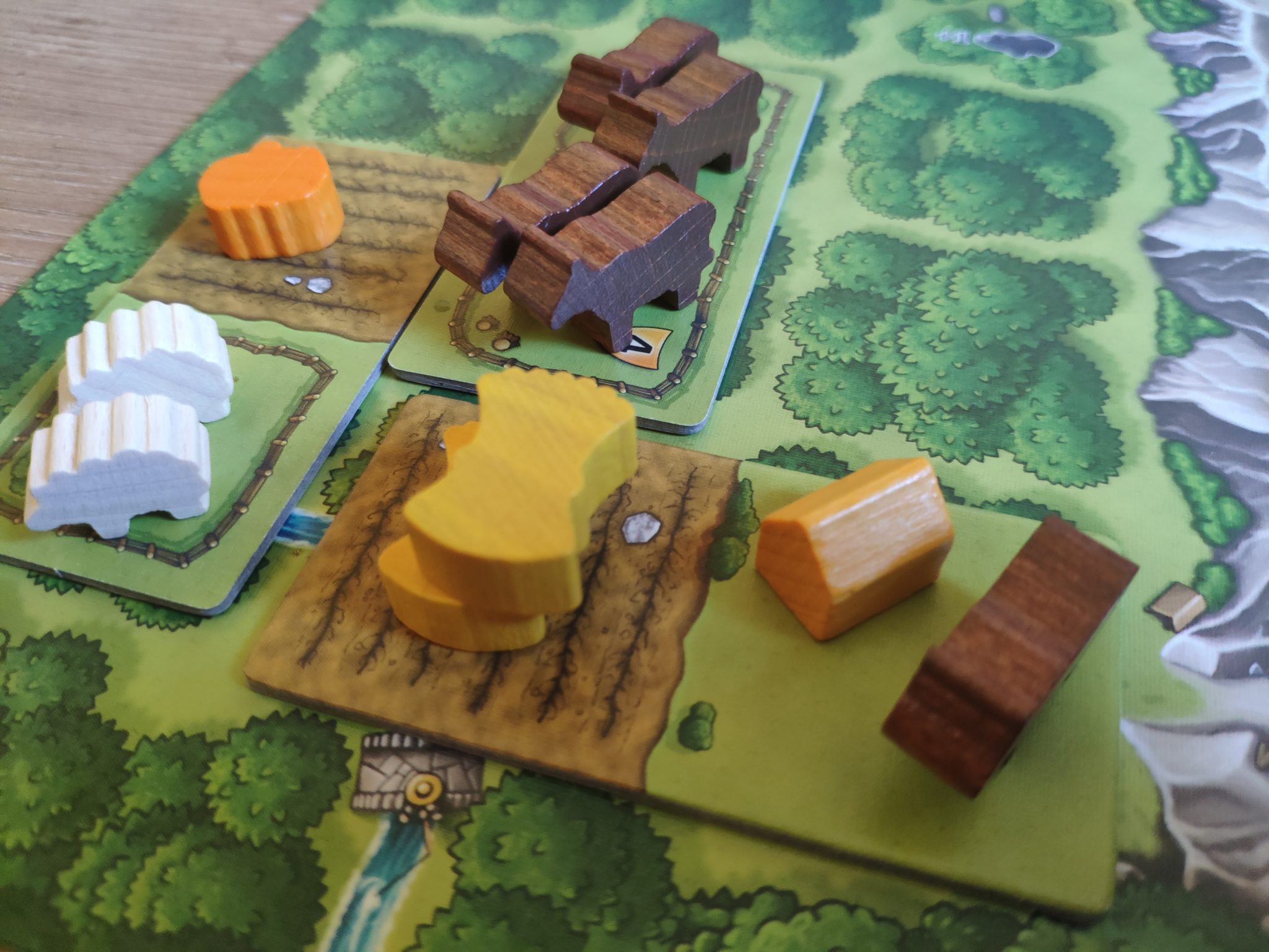 Pola uprawne w Kawerna