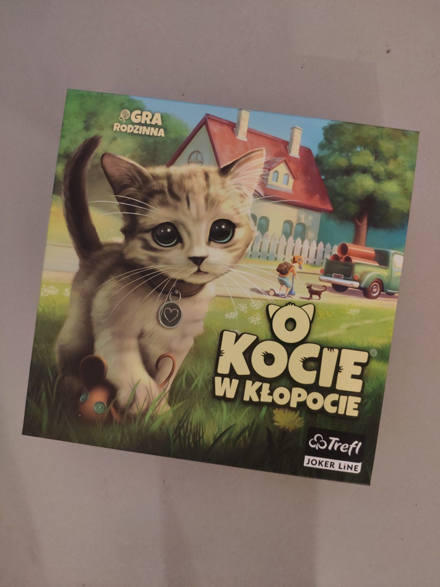 O kocie w kłopocie