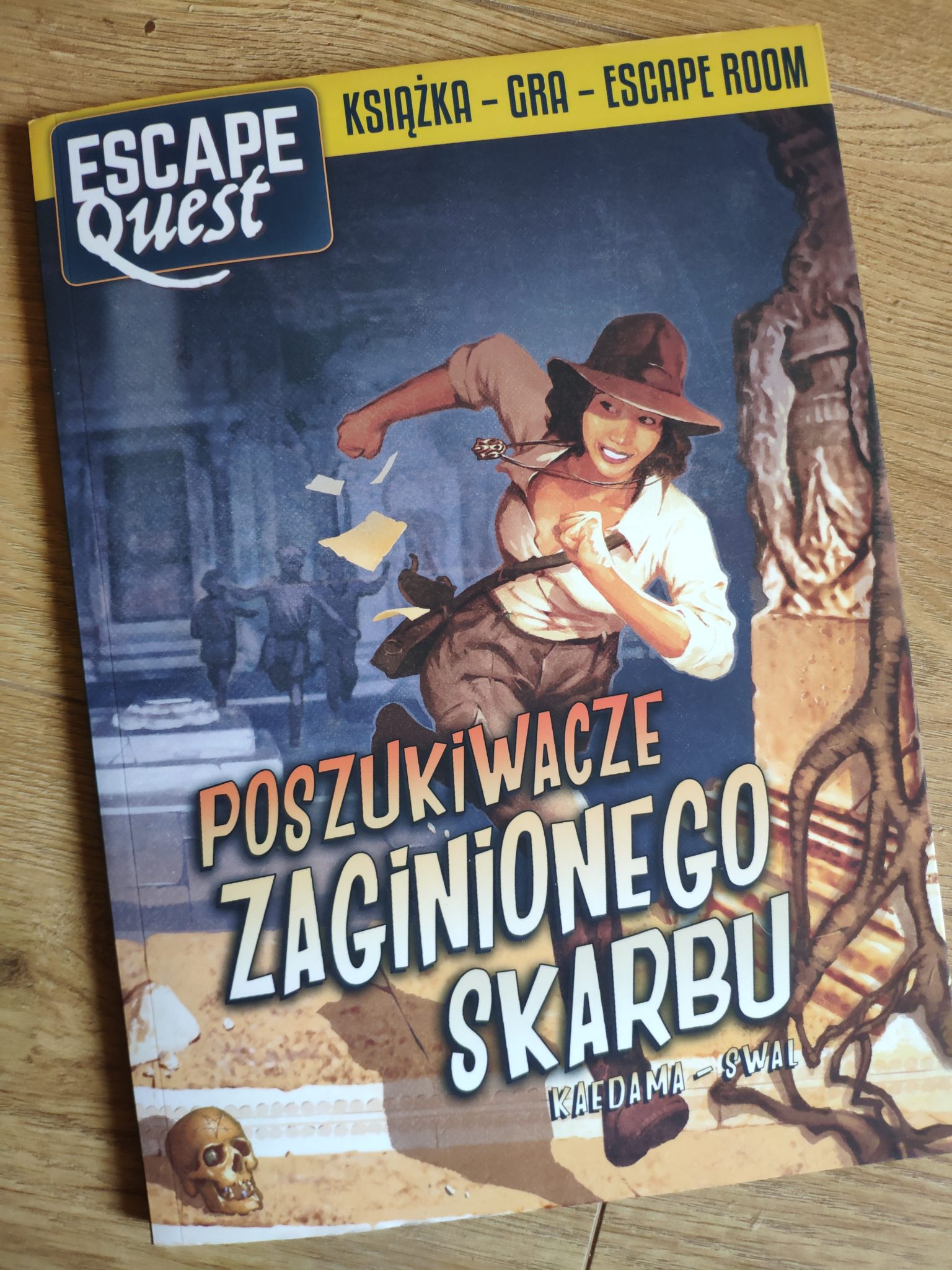 Poszukiwacze zaginionego skarbu