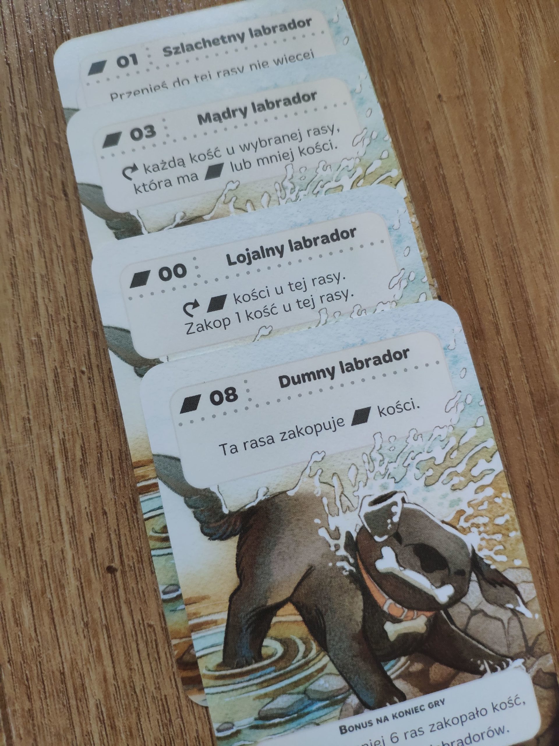 Najlepsza gra o psach